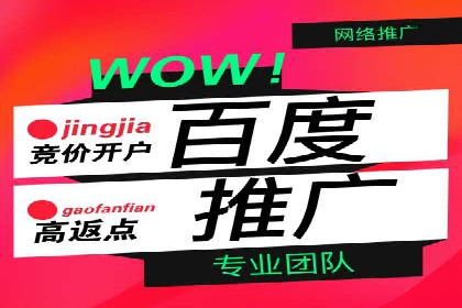 行业领先！专业SEM托管的成功实践案例